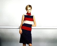 Twiggy 1960's British fashion icon in classic era pose 8x10 inch real photo