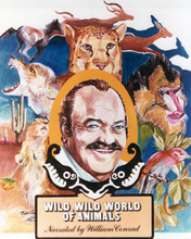 William Conrad 1973 artwork for Wild Wild World of Animals TV 8x10 inch photo