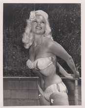 Jayne Mansfield vintage 8x10 inch photo takes a dip in her Hollywood pool