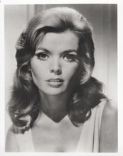 Deanna Lund vintage 8x10 inch photo alluring 1960's Hollywood portrait