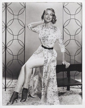 Dorothy Malone 1950's era Hollywood glamour pose vintage 8x10 inch photo