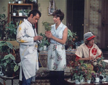 Laverne and Shirley vintage 8x10 inch photo Marshall Williams & Lander plants