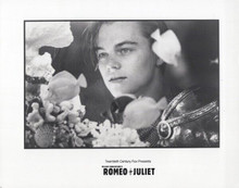 Romero and Juliet 1996 vintage 8x10 inch photo Leonardo Di Caprio