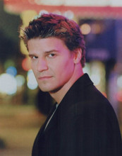 Buffy The Vampire Slayer David Boreanaz as Angel vintage 8x10 inch photo