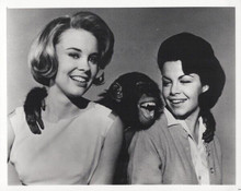 Daktari's Cheryl Miller & Annette Funicello Monkey's Uncle vintage 8x10 photo