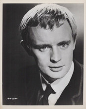 David McCallum early 1960's Hollywood portrait vintage 8x10 inch photo