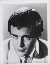 David McCallum 1960's portrait Man From UNCLE vintage 8x10 inch photo