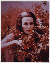 The Munsters Yvonne De Carlo as Lily hides behind bush vintage 8x10 inch photo