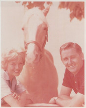 Mr Ed classic TV series vintage 8x10 inch photo Connie Hines Alan Young & Ed