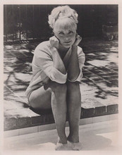 Elke Sommer 1960's Hollywood sitting by edge of pool vintage 8x10 inch photo