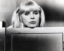 Elke Sommer cute pose in pigtails 1968 Wicked Dreams of Paula Schultz 8x10 photo