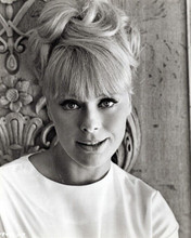 Elke Sommer 1965 The Art of Love beautiful publicity portrait 8x10 inch photo