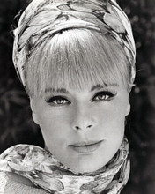 Elke Sommer 1965 portrait wearing head band The Art of Love 8x10 inch photo