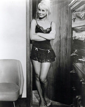 Elke Sommer cute in black lingerie shwoing legs 1960's pin-up 8x10 inch photo