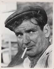 Rod Taylor with tough look cigarette in mouth vintage 8x10 photo Young Cassidy