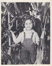 Shirley Temple 1930's era poses in dungarees vintage 8x10 inch photo fiber paper