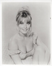 Sharon Tate vintage 8x10 inch photo showing huge cleavage in lingerie