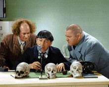 The Three Stooges sit at desk from 1937 The Dizzy Doctors 8x10 inch photo