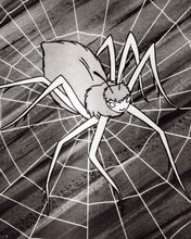 Charlotte's Web 1972 Charlotte A. Cavatica in her web 8x10 inch photo