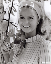 Debbie Reynolds 1960's style smiling portrait wearing head scarf 8x10 inch photo