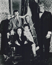 The Addamy Family Morticia Gomez Lurch & cast classic TV series 8x10 inch photo