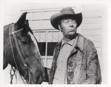 Jack Elam American western character actor in scene with horse 8x10 inch photo