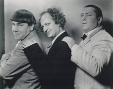 The Three Stooges Curly Larry & Moe look dapper in suits 8x10 inch photo