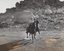 Marilyn Monroe rides horse in Nevada desert The Misfits 8x10 inch photo