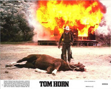 Tom Horn 1980 original 8x10 lobby card Steve McQueen looks at horse on ground
