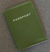Passport Case Green/Pink