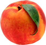 Peach Elberta Tree - 24" Box