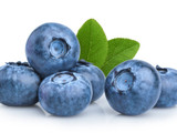Blueberry Southmoon - 10 Gallon 