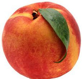 Peach Elberta Tree - 15 Gallon 