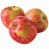 Honeycrisp Apple Tree - 15 Gallon 