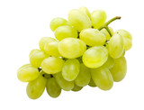 Thompson Seedless Grape Vine - 5 Gallon