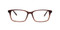 C2 Brown / Black Tiger Stripe