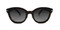 C2 Tortoise w/ Brown Gradient Polarized Lenses