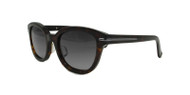 C2 Tortoise w/ Brown Gradient Polarized Lenses