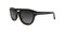 C2 Tortoise w/ Brown Gradient Polarized Lenses