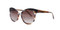 C4 Black/Brown/Crystal w. Gradient Polarized Lenses