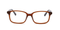 Ragnarok Brown (C2)