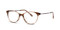 Crystal Brown (C1)