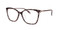 Blue Gray Tort (C5)