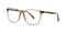 Brown with Honey Tortoise Temples (C2)