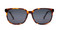 Adventortoise w/ Solid Gray Polarized Lens (C2)