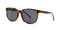 Adventortoise w/ Solid Gray Polarized Lens (C2)
