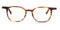 C2 Brown / Red Tortoise w. Red Trim