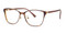 C2 Tortoise / Mauve