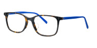 Dark Tortoise w/ Royal Blue Temples (C2)