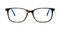 Dark Tortoise w/ Royal Blue Temples (C2)